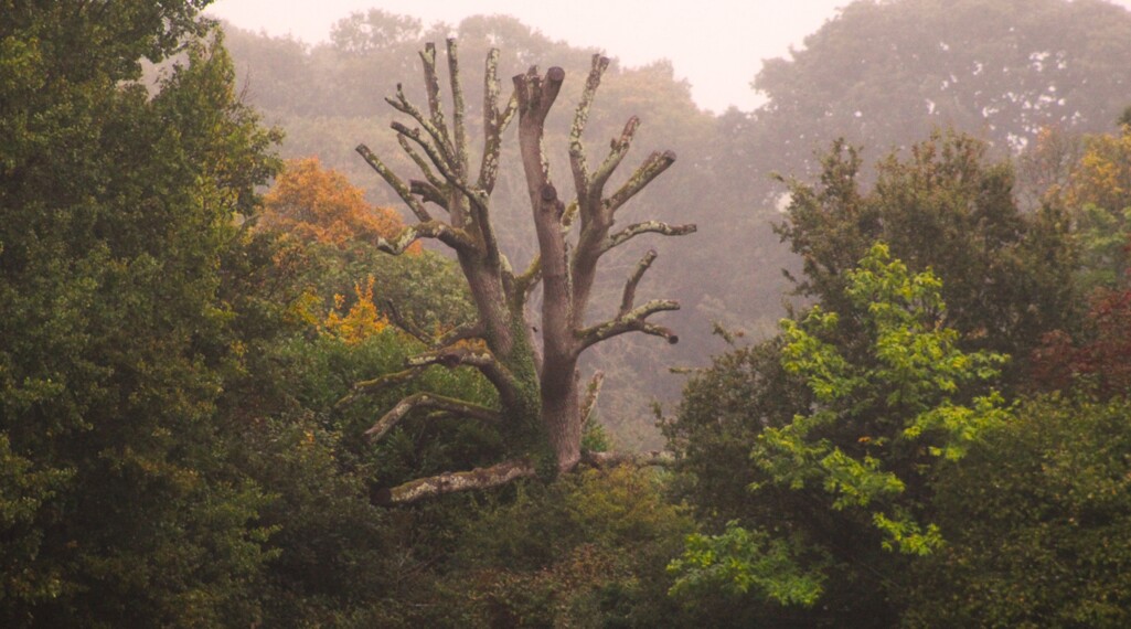 Newsletter - Friday 3rd October 2025