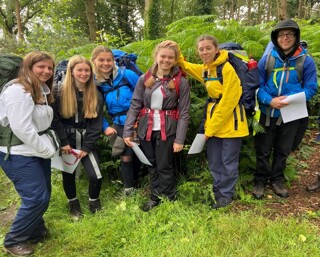 Dofe